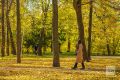 В Татарстане потеплеет до +27: прогноз на неделю