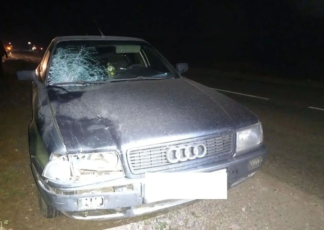 За одну ночь в Татарстане сбили двух «гулявших» по дороге пешеходов За одну ночь в Татарстане сбили двух «гулявших» по дороге пешеходов