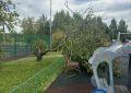 Ураган в Москве: падают деревья, срывает кровли, есть погибший