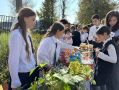 Почти 9,5 млн рублей собрали казанские школьники на добрые дела