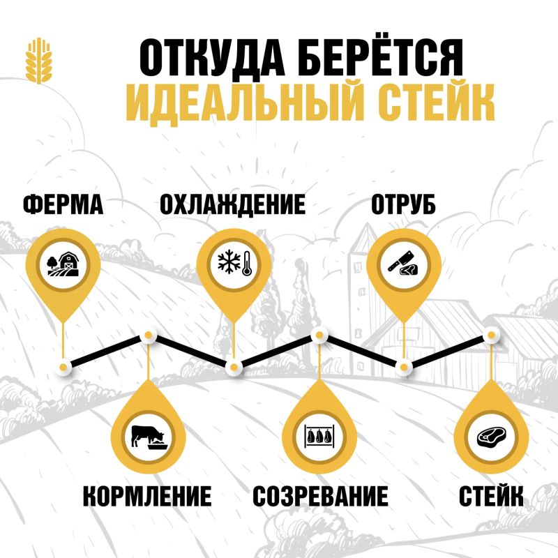 Откуда берётся идеальный стейк?
