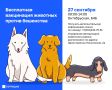 В Советском районе Казани проведут бесплатную вакцинацию домашних животных