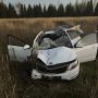 Девушка погибла в ДТП с лосем в Елабужском районе
