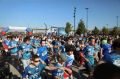 Более 17 000 человек приняли участие в «Кроссе нации – 2026» в Казани!