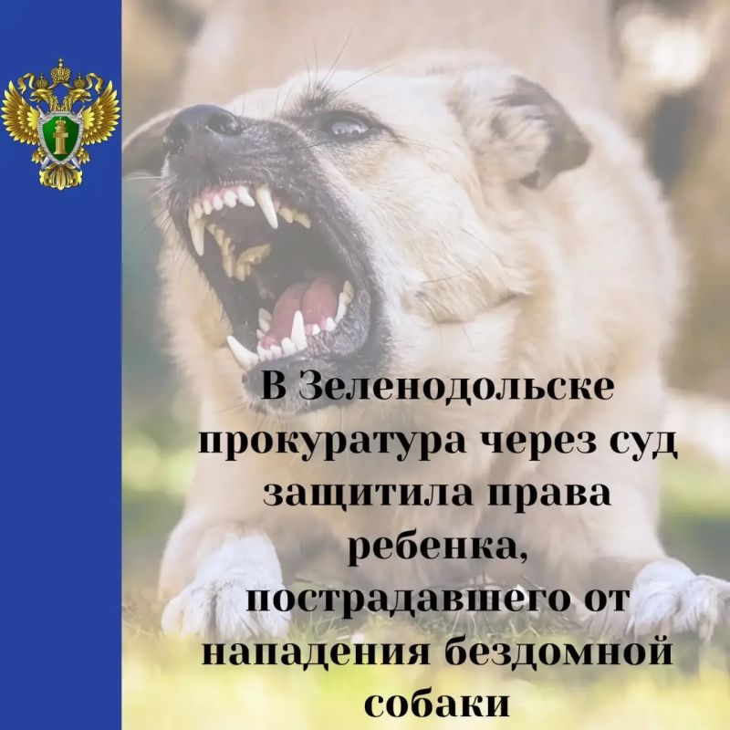 Суд по иску Зеленодольской городской прокуратуры взыскал компенсацию для девочки, которую покусала собака