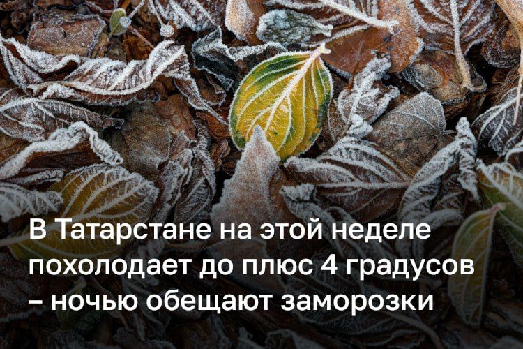 В Татарстан на этой неделе придут заморозки