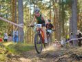 �� ����� ������� ������� ������ VI ���� ������� ���� �� ���������