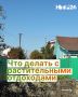 Что делать с растительными отходами после уборки участка? Рассказываем о правильной утилизации