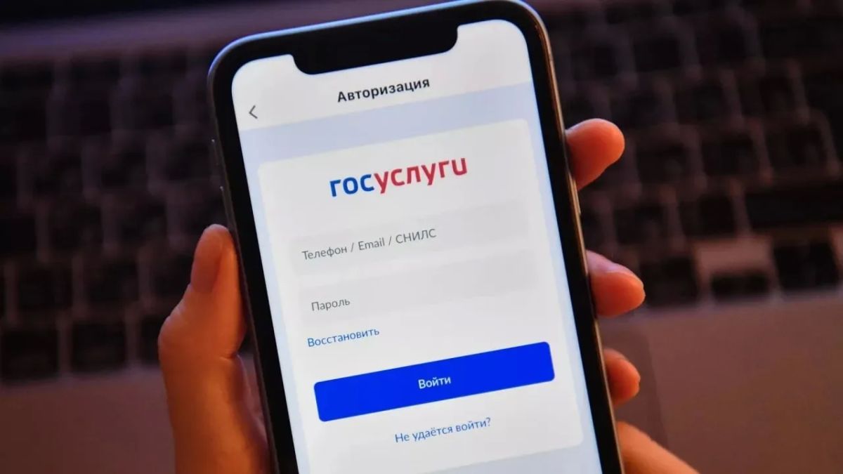 На «Госуслугах» появится «красная кнопка» от мошенников