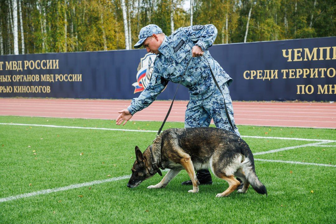 Чемпионат МВД России по многоборью кинологов завершился в Казани Чемпионат МВД России по многоборью кинологов завершился в Казани