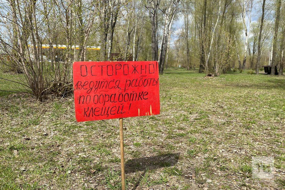 От укусов клещей в Татарстане пострадали почти 11 тыс