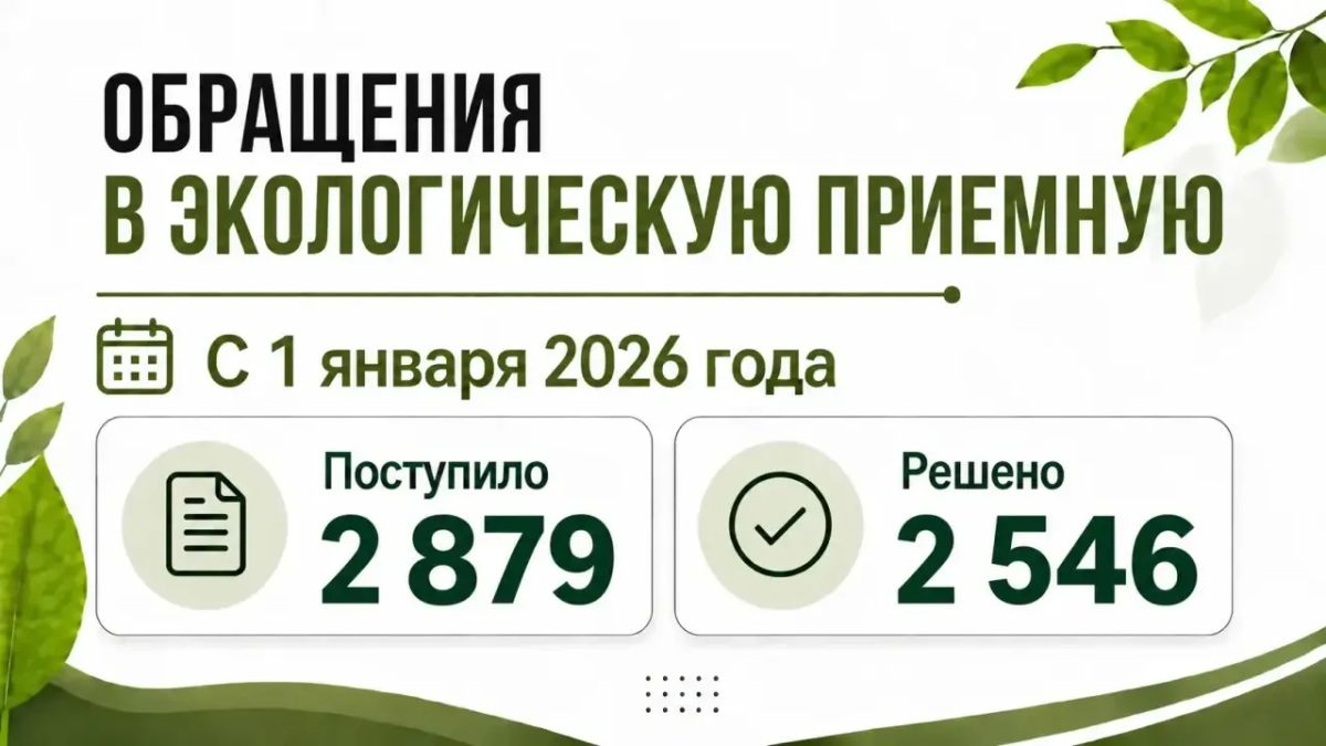 88,4% обращений жителей решено экологами с начала года