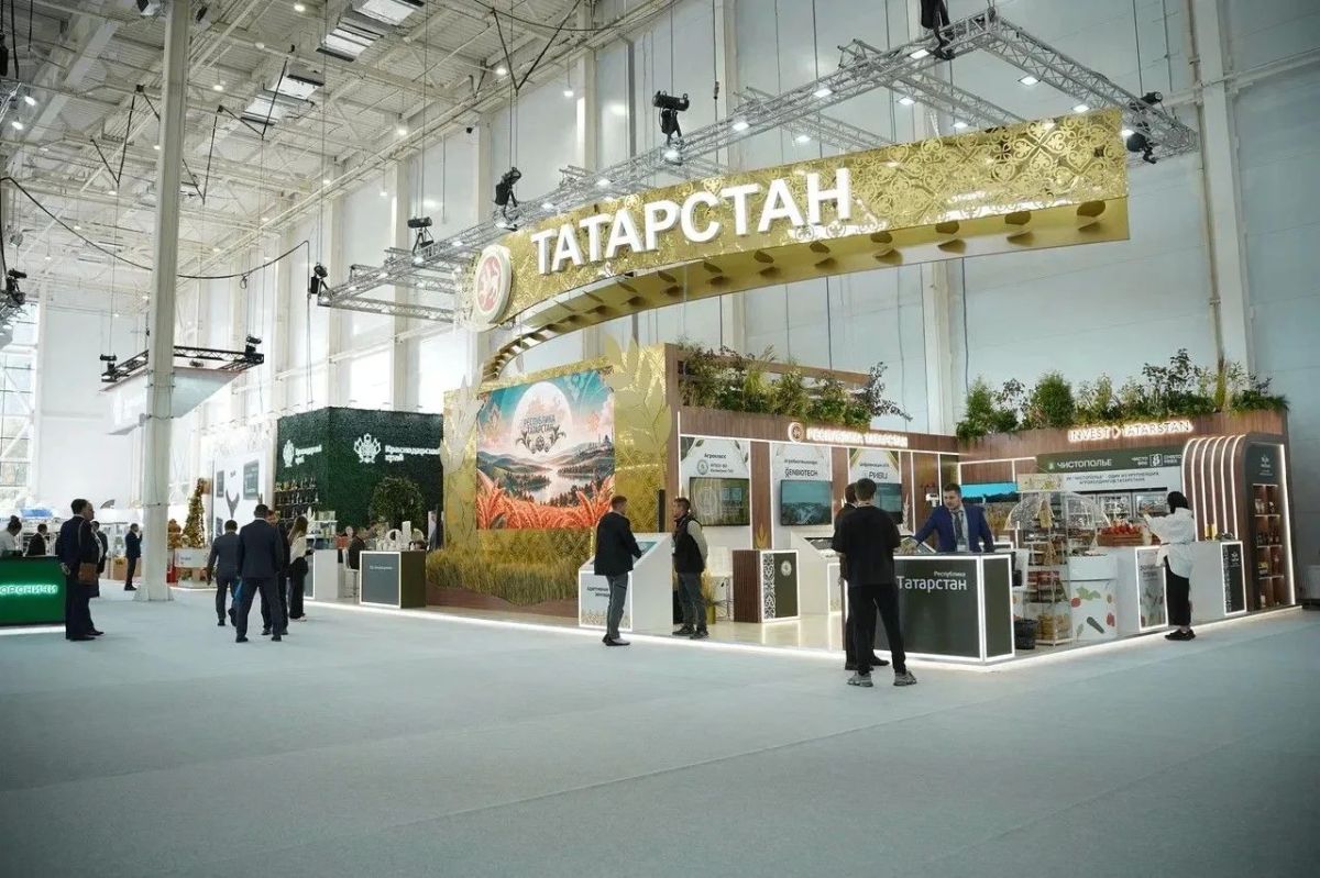 Татарстан представляет ключевые проекты АПК на «Золотой осени – 2026» Татарстан представляет ключевые проекты АПК на «Золотой осени – 2026»