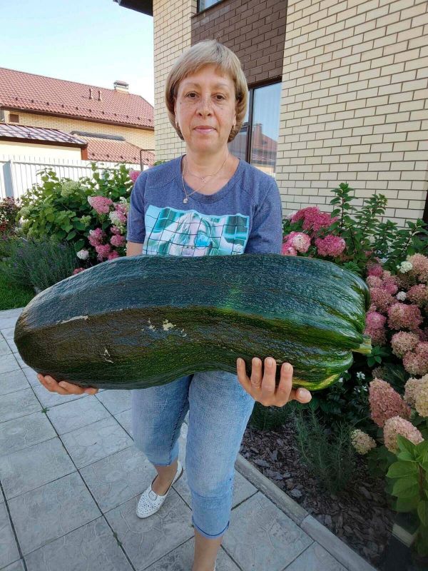 Продолжается прием заявок на фотоконкурс «А у нас на грядке»