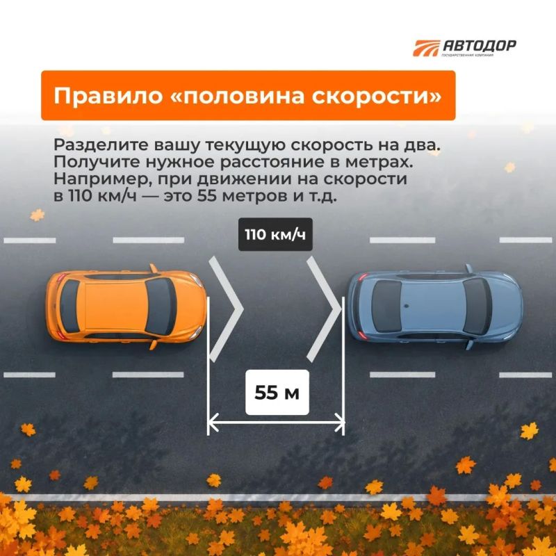 Осень — время держать дистанцию!
