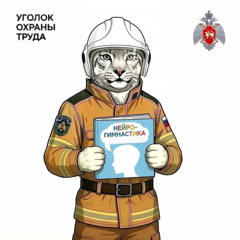 Польза 5 минут . Нейрогимнастика — это комплекс простых физических упражнений, направленных на синхронизацию работы полушарий мозга