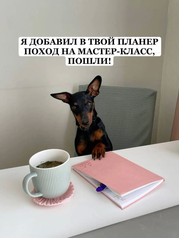 Лови идеи, куда можно сходить по Пушкинской карте в ближайшее время