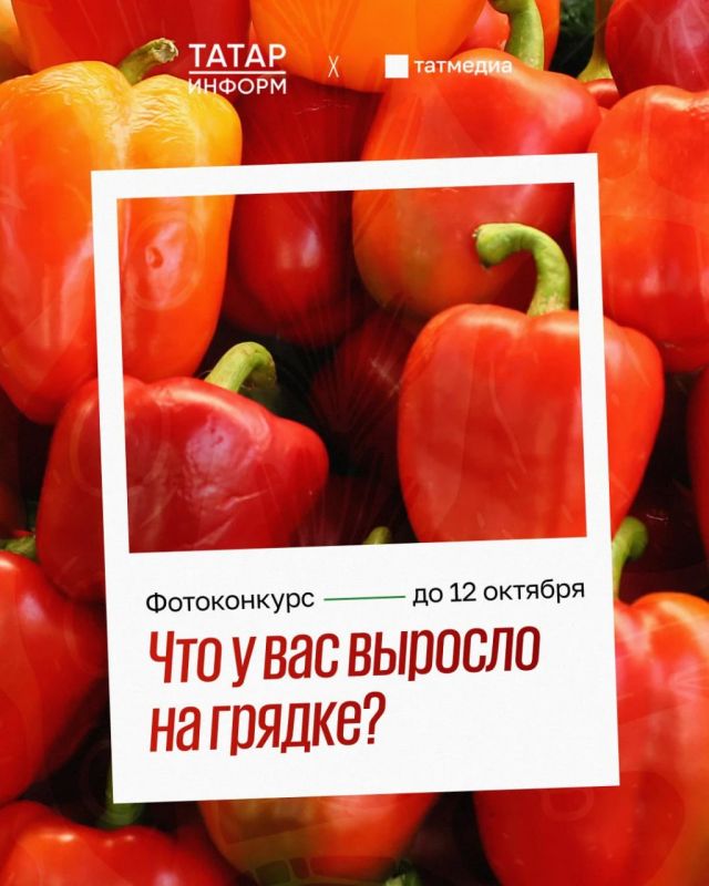 Сегодня завершается приём заявок на конкурс «А у нас на грядке»