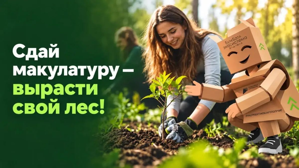 Победители «БумБатла» смогут вырастить собственный именной лес!