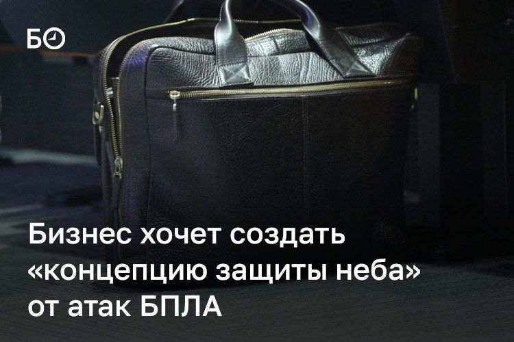 Бизнес предложил разработать «концепцию защиты неба» от атак БПЛА