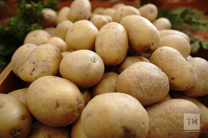 Картофель возглавил рейтинг самых подешевевших продуктов в России