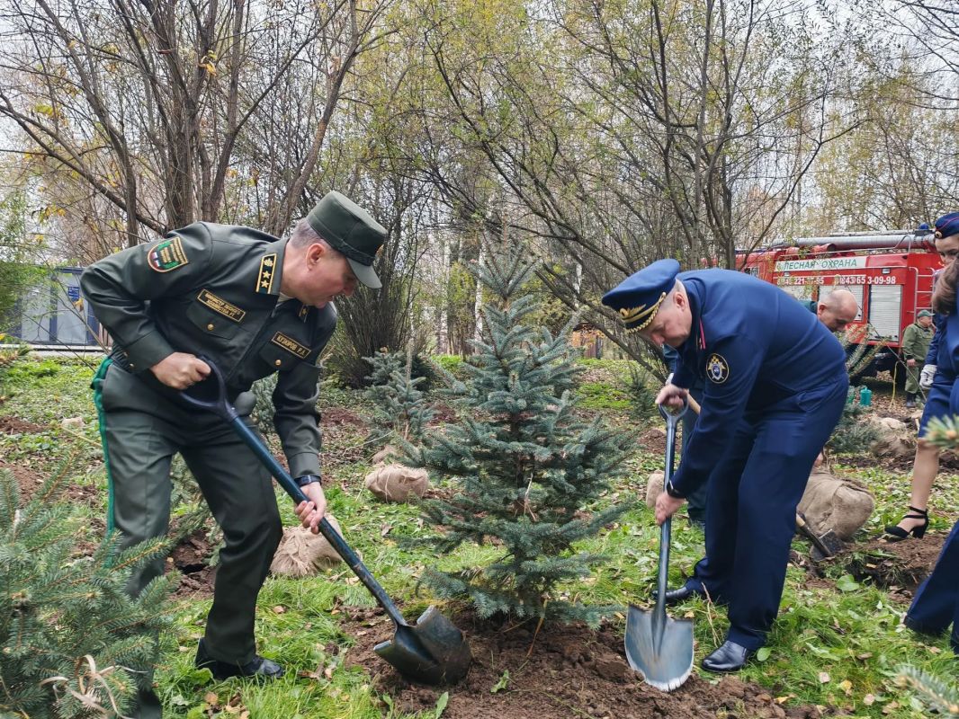 Офицеры следственного управления высадили саженцы в природном заказнике «Голубые озера»