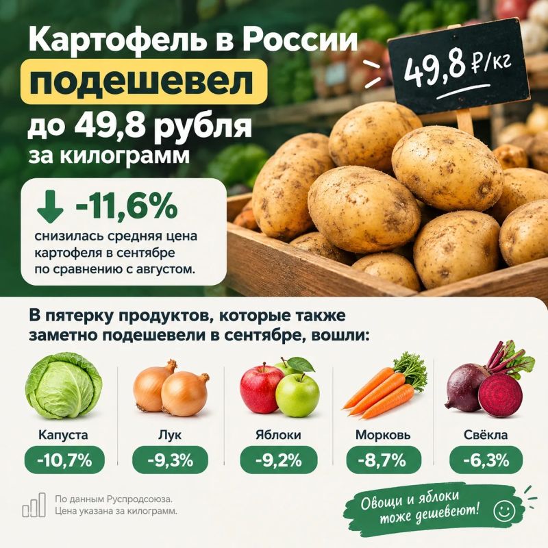 Картофель в России подешевел до 49,8 рубля за килограмм