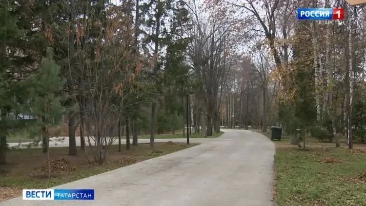 Штормовое предупреждение: в Татарстане 19 октября ожидается сильный ветер