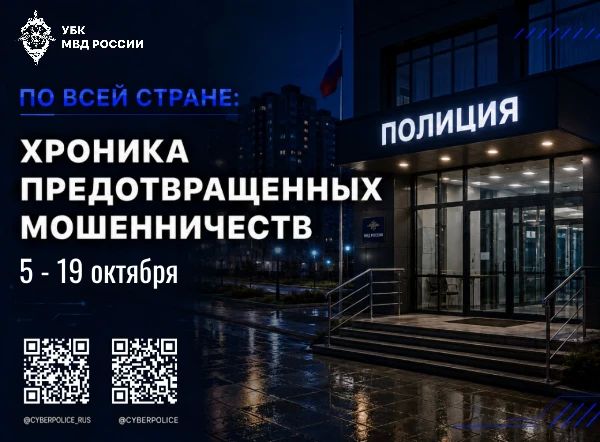 По всей стране: хроника предотвращенных мошенничеств