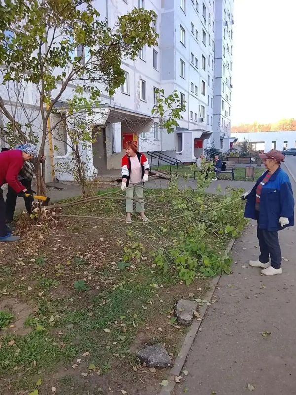 Нижнекамцы, которые все лето занимались озеленением придомовых территорий, активно готовят многолетники к зимнему покою Нижнекамцы, которые все лето занимались озеленением придомовых территорий, активно готовят многолетники к зимнему покою
