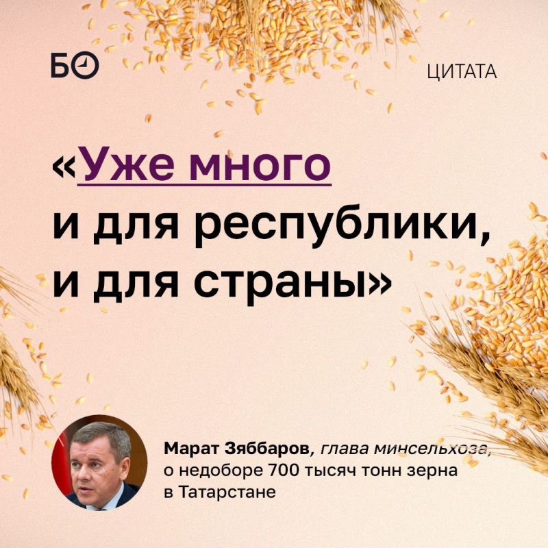 Власти Татарстана подвели предварительные итоги уборочной кампании 2026 года — и результаты неоднозначные