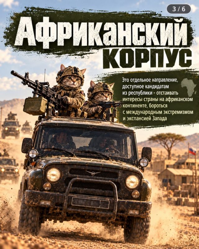 Из Татарстана по контракту можно попасть в разные войска: от Африканского корпуса до Войск беспилотных систем Из Татарстана по контракту можно попасть в разные войска: от Африканского корпуса до Войск беспилотных систем