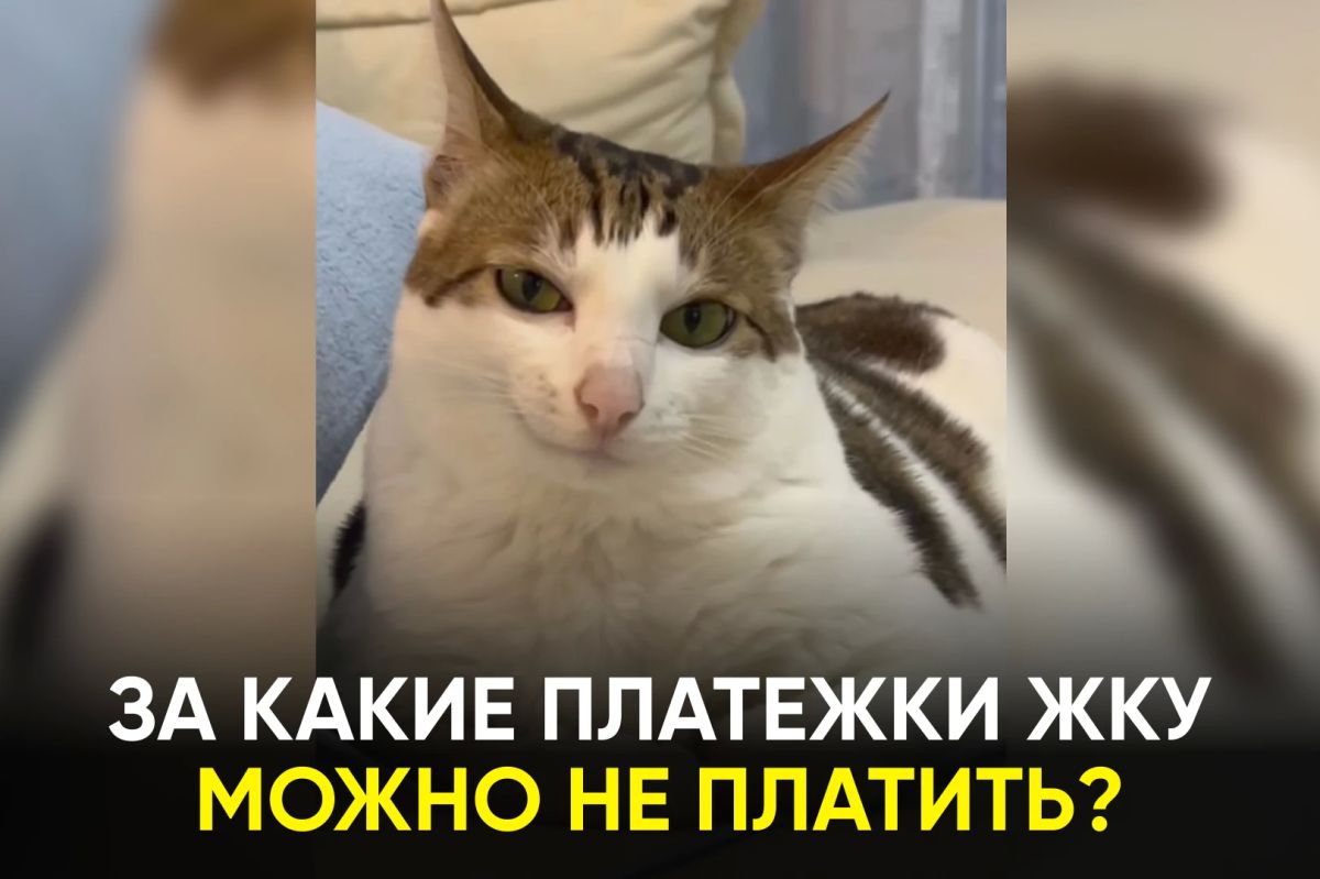 Не все строки в квитанции обязательны для оплаты
