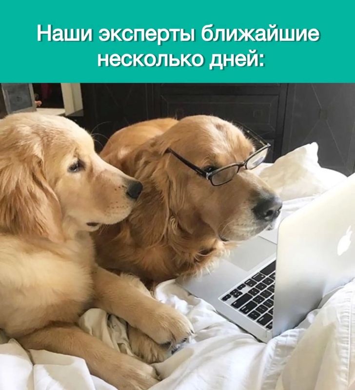 Приём заявок на конкурс логотипов завершён!
