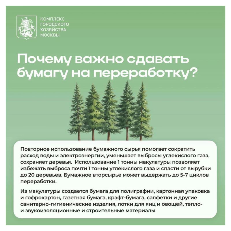 Куда сдавать макулатуру на переработку Куда сдавать макулатуру на переработку