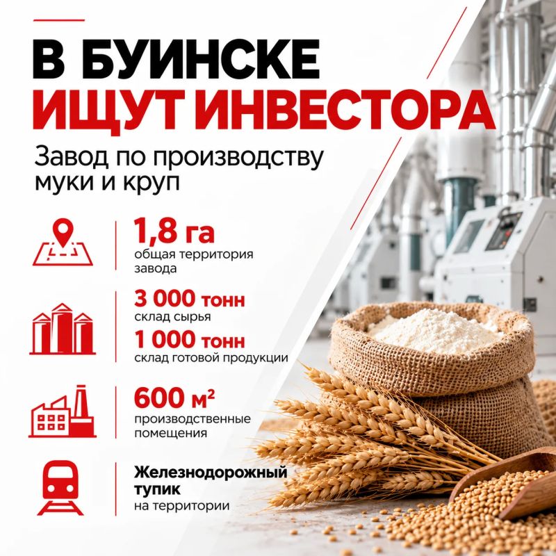 В Татарстане ищут инвестора для завода по производству муки и круп