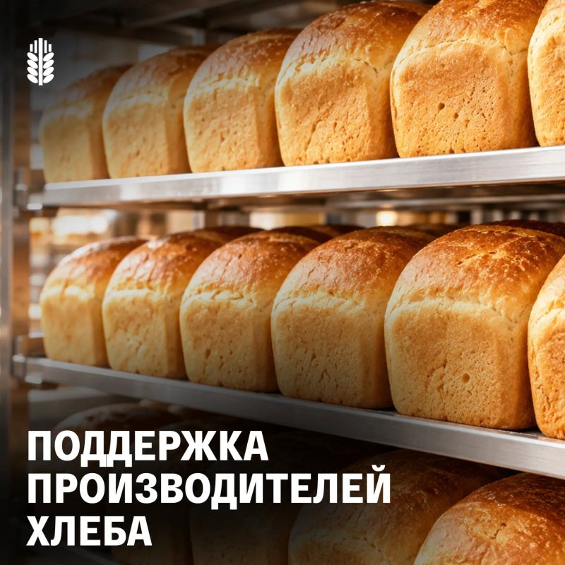 Производители хлеба Татарстана могут получить субсидию на оборудование и спецтранспорт