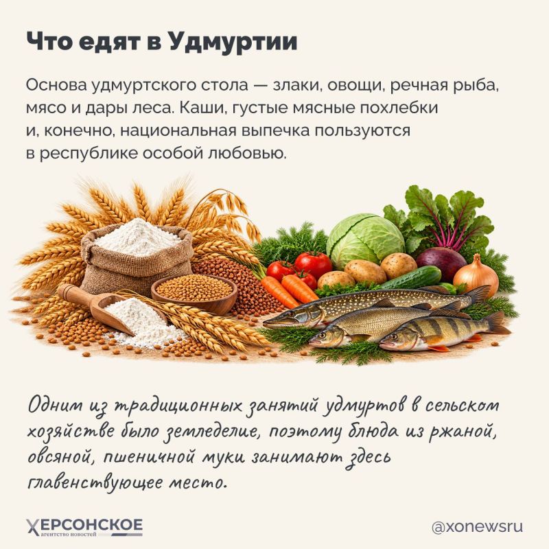 Республика — край родников, густых лесов и душевной домашней финно-угорской кухни Республика — край родников, густых лесов и душевной домашней финно-угорской кухни