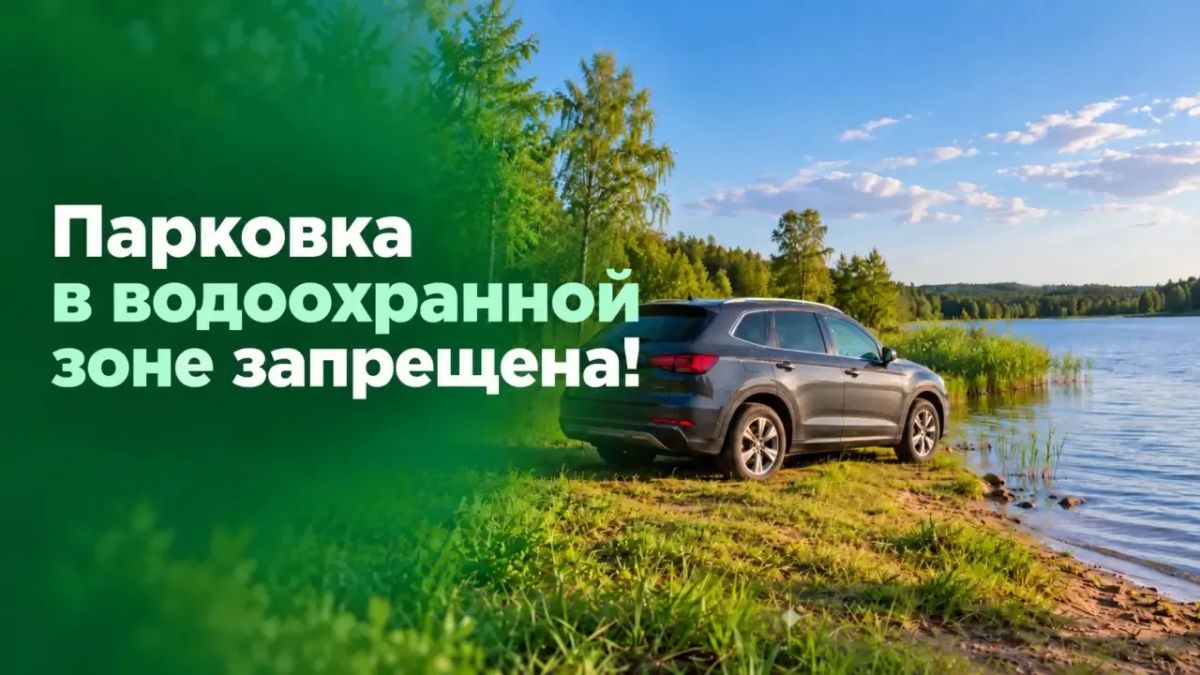 127 нарушителей оштрафованы за парковку у воды с начала года