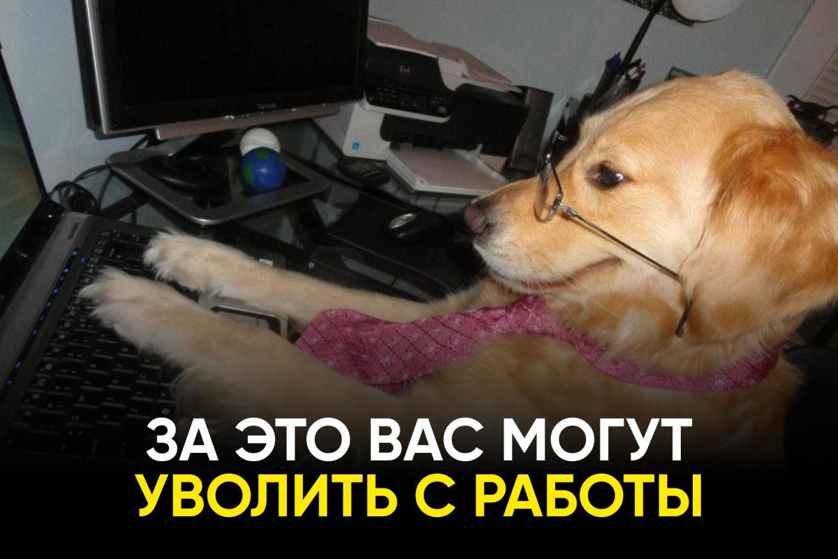 По закону вас могут уволить даже за одну такую ошибку