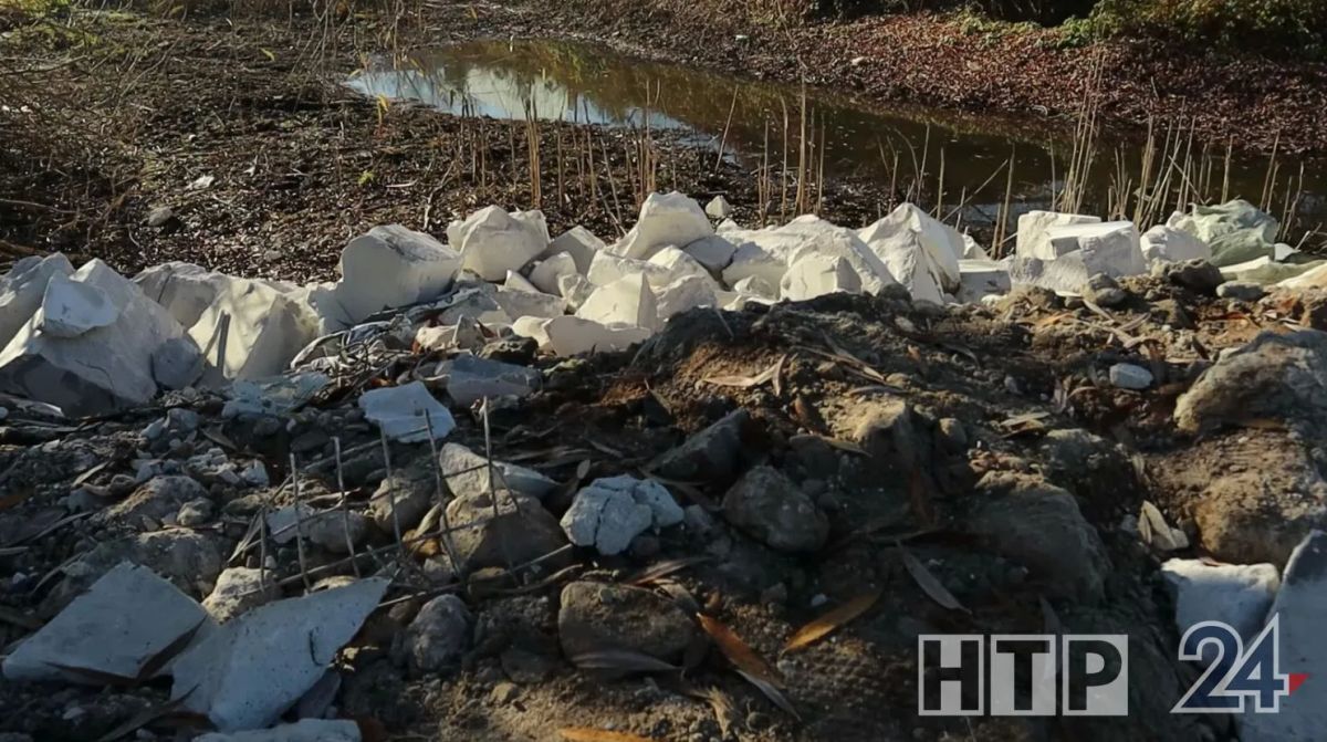 В СНТ «Спутник» садоводы пожаловались на то, что на берегу пересохшего пруда кто-то вывалил строительный мусор В СНТ «Спутник» садоводы пожаловались на то, что на берегу пересохшего пруда кто-то вывалил строительный мусор