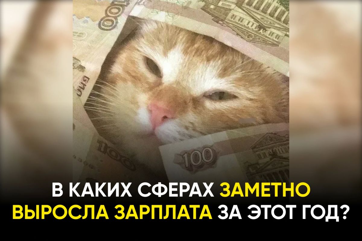 Где растет количество вакансий и кому предлагают всё больше оплаты: