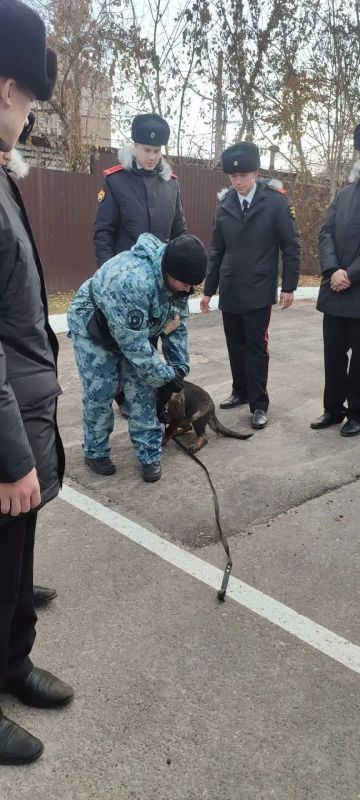 Учащиеся Елабужского суворовского военного училища МВД России побывали в гостях у специалистов-кинологов МВД Татарстана Учащиеся Елабужского суворовского военного училища МВД России побывали в гостях у специалистов-кинологов МВД Татарстана