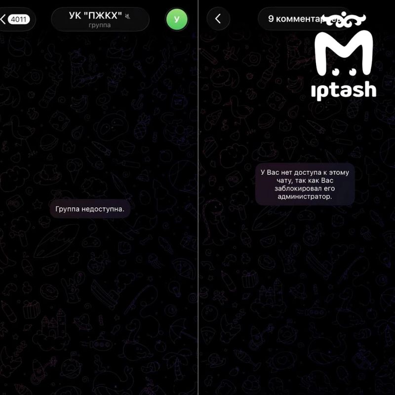 УК "ПЖКХ" отправила журналистов Mash Iptash в черный список своего чата, вместо ответов на вопросы о мусорном коллапсе в Казани