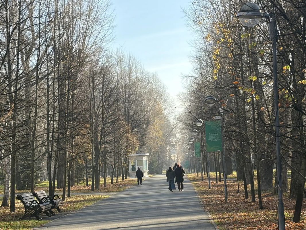 В парке «Крылья Советов» - своя золотая осень В парке «Крылья Советов» - своя золотая осень