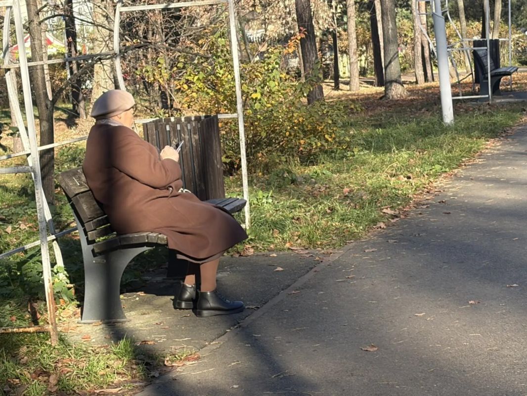 В парке «Сосновая роща» в сегодняшний тёплый день много людей В парке «Сосновая роща» в сегодняшний тёплый день много людей
