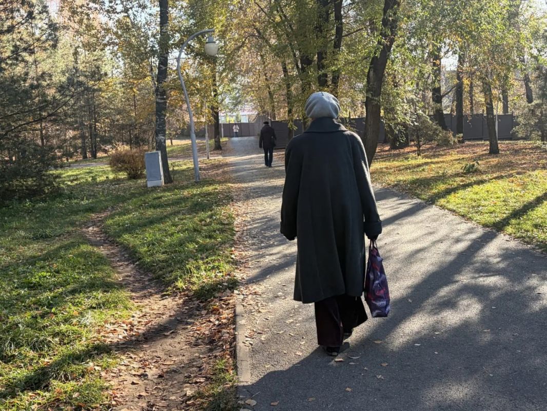 В парке «Сосновая роща» в сегодняшний тёплый день много людей В парке «Сосновая роща» в сегодняшний тёплый день много людей