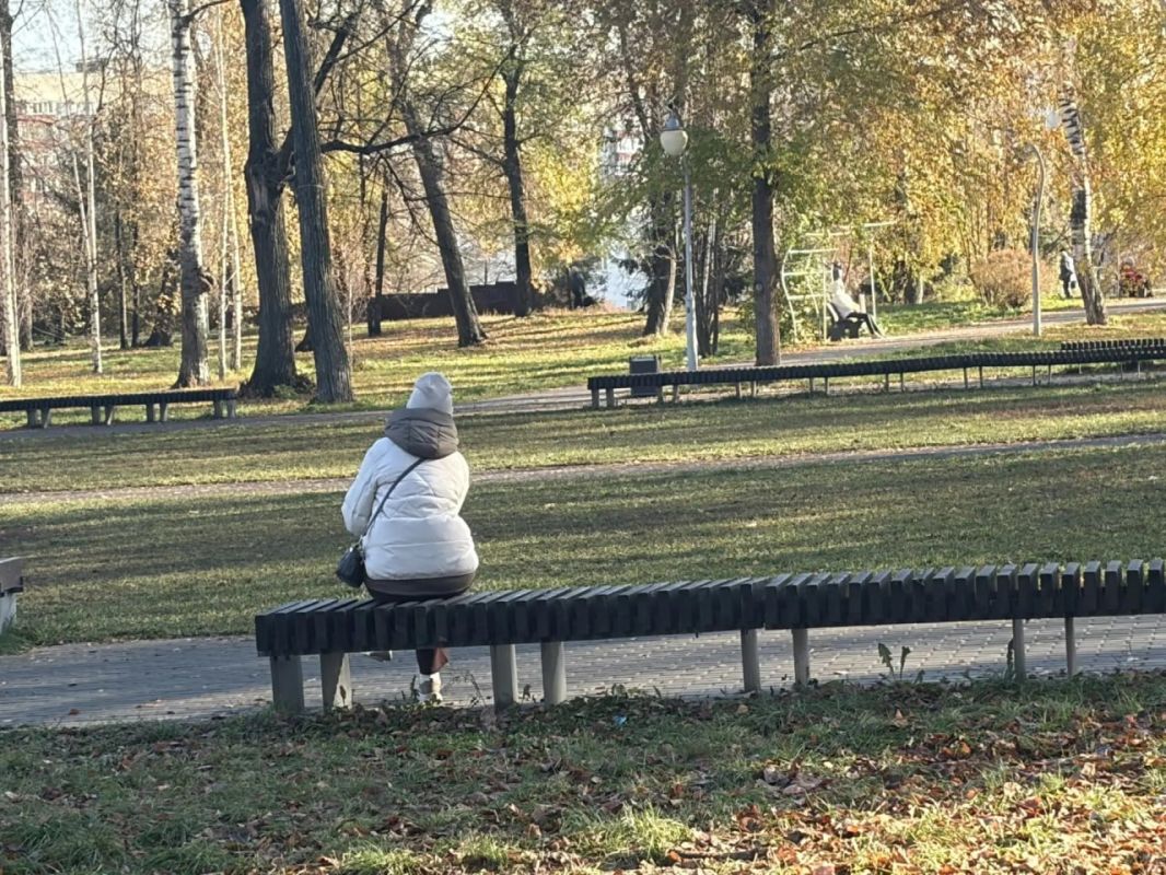 В парке «Сосновая роща» в сегодняшний тёплый день много людей В парке «Сосновая роща» в сегодняшний тёплый день много людей