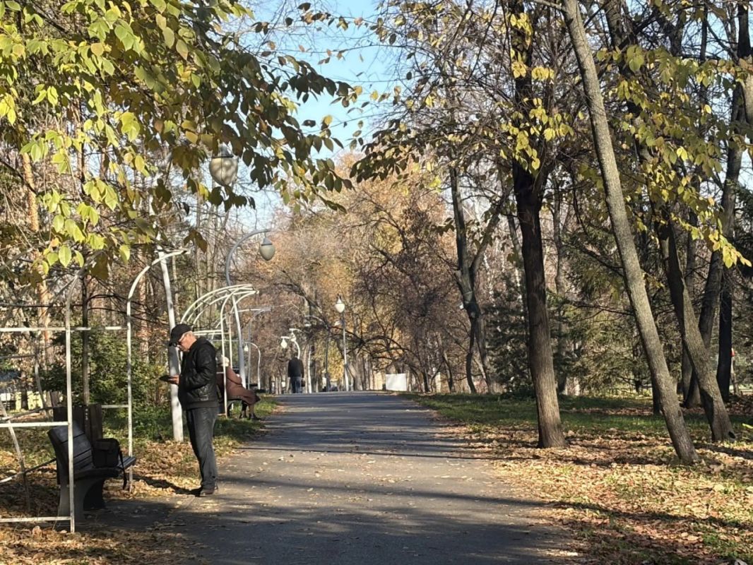 В парке «Сосновая роща» в сегодняшний тёплый день много людей В парке «Сосновая роща» в сегодняшний тёплый день много людей