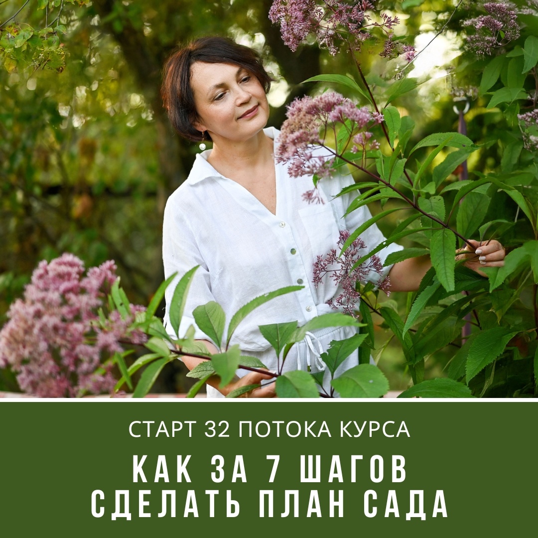 Новый поток курса: создайте идеальный сад за 8 недель